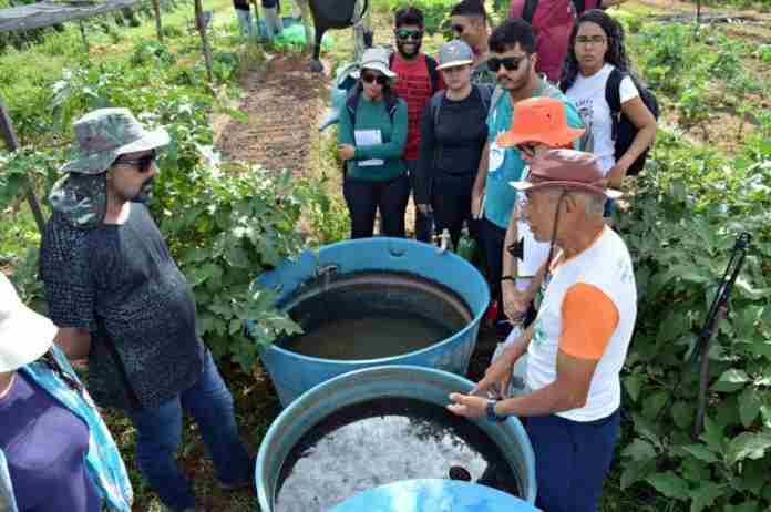 Sertão-Agroecológico_univasf-768x510
