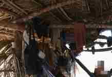 Amado Batista e BYD são incluídos em lista de trabalho escravo do MTE