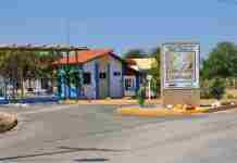 Cemafauna/Univasf participa de descoberta inédita sobre predação de lagartos na Caatinga