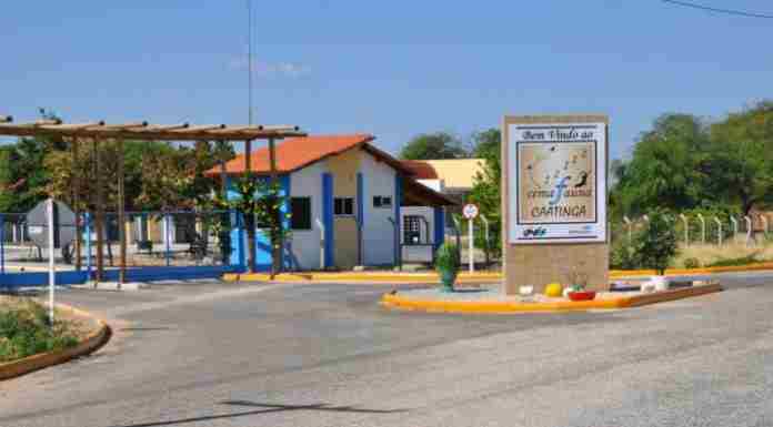 Cemafauna/Univasf participa de descoberta inédita sobre predação de lagartos na Caatinga