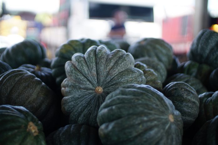 Cotação no Mercado Produtor de Juazeiro