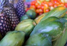 Exportações de frutas crescem 25% no 1º trimestre de 2026 e já somam US$ 351 milhões