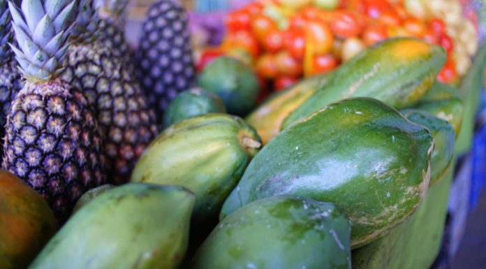 Exportações de frutas crescem 25% no 1º trimestre de 2026 e já somam US$ 351 milhões