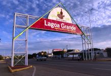 Prefeitura de Lagoa Grande alerta sobre lei que proíbe animais soltos em vias públicas