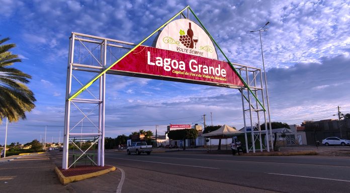 Prefeitura de Lagoa Grande alerta sobre lei que proíbe animais soltos em vias públicas