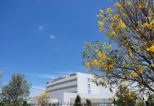 HU-Univasf reforça contatos oficiais para confirmação de agendamentos de consultas e cirurgias