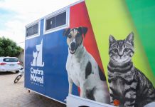 Castramóvel na rua: Prefeitura avança nas castrações em Petrolina e atende mais de 130 animais