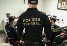 PF deflagra operação contra cultivo ilegal de maconha na Bahia e em Pernambuco