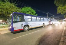 Carnaval de Petrolina contará com os “corujões” para conduzir os foliões em segurança