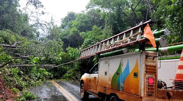 Neoenergia reforça número de equipes após previsão de chuvas para as próximas horas no Agreste e Sertão