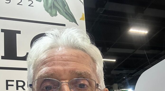 Do Semiárido à COP30: O Protagonismo Invisível da Fruticultura Exportadora