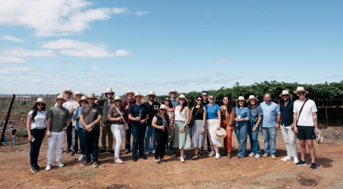 Vale do São Francisco recebe comunicadores e pesquisadores para imersão em enoturismo