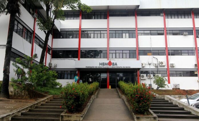 CamilaSouzaGOVBASEDE 2