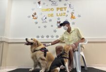 Hospital Regional de Juazeiro aposta na Cãoterapia como aliada no tratamento de pacientes oncológicos