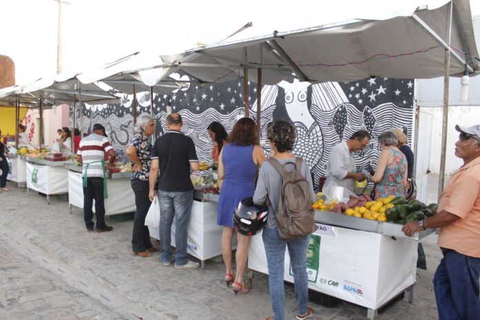 Feira de orgânicos01