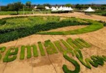 Petrolina (CE) sediará evento de início das comemorações no Brasil dos 80 anos da FAO