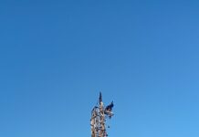 Polícia Civil abre inquérito para apurar incêndio que destruiu Estátua da Havan em Petrolina