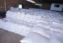 Prefeitura de Casa Nova recupera milho furtado e reforça compromisso com agricultores familiares