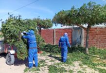 Petrolina intensifica limpeza das Vilas da zona rural do município