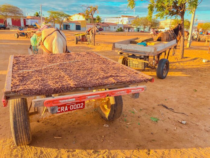 WhatsApp Image 2025-09-16 at 08.22.06