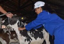 Adagro reforça ações de prevenção e controle da raiva em herbívoros no Sertão do Araripe