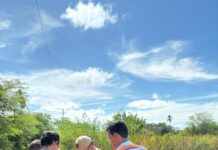 Juazeiro decreta situação de emergência por conta da estiagem prolongada