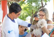 Dia D de vacinação antirrábica acontece neste sábado em Petrolina