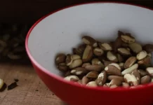 Agricultores do Nordeste participam de feira internacional de alimentos na Alemanha