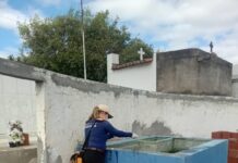 Segurança sanitária no Dia de Finados: Sesau realiza ação de combate à dengue no Cemitério Municipal