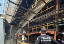 Polícia Federal realiza incineração de 870 kg de drogas em Juazeiro