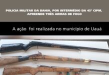 PM apreende armas usadas para caçar animais silvestres em Uauá (BA)