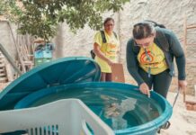 Prefeitura de Petrolina reforça combate ao mosquito da dengue e cidade permanece fora da zona de risco