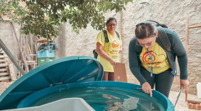 Prefeitura de Petrolina reforça combate ao mosquito da dengue e cidade permanece fora da zona de risco