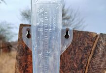 Comunidades da zona rural de Petrolina registram chuva na manhã desta quinta-feira