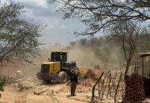 Polícia Federal realiza retirada de pessoas de garimpo ilegal na Serra da Quixaba, em Sento Sé (BA)
