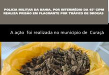 Homem é preso em flagrante por tráfico de drogas em Curaçá (BA)