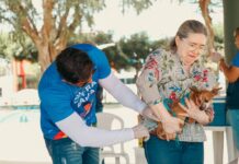 Prefeitura abre pontos de vacinação antirrábica no feriado e final de semana em Petrolina