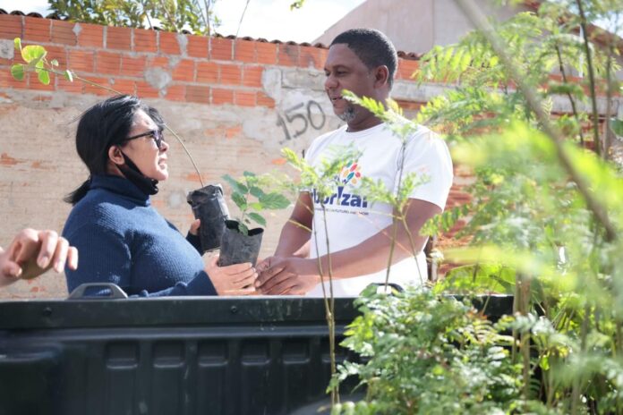 Carro da Planta NOV I