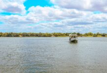 Guia rápido para o turista: o que fazer em 48h em Petrolina