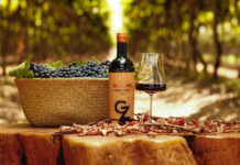 Vinhos do Vale do São Francisco garantem Ouro e Prata no Brasil Selection by Concours Mondial de Bruxelles
