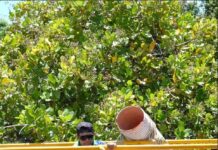 Compesa finaliza ações emergências em Petrolina e abastecimento será regulado gradativamente