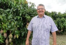 Guilherme Coelho comemora redução da taxação americana sobre frutas brasileiras e reforça atuação em defesa da fruticultura