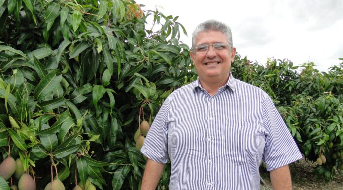Guilherme Coelho comemora redução da taxação americana sobre frutas brasileiras e reforça atuação em defesa da fruticultura