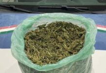 Polícia apreende 1,6 kg de maconha após perseguição na BR-428, no Sertão de PE