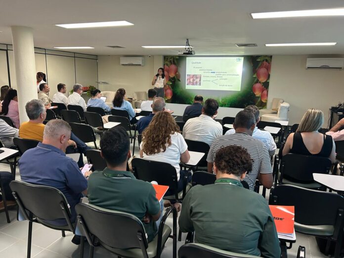 WhatsApp Image 2025-11-05 at 17.40.17