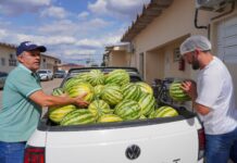 Prefeitura de Casa Nova garante frutas frescas e saudáveis para a rede municipal de saúde