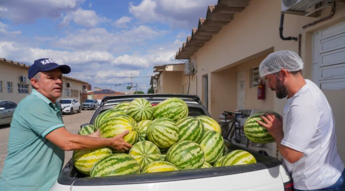 Prefeitura de Casa Nova garante frutas frescas e saudáveis para a rede municipal de saúde
