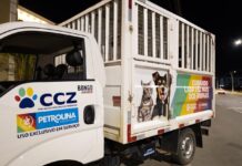 Telefone do Centro de Controle de Zoonoses apresenta instabilidade e novo contato é disponibilizado