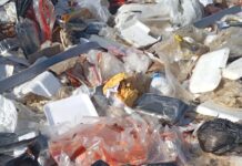 Supermercado é autuado por descarte irregular de resíduos no bairro Pedro Raimundo