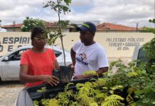 Petrolina ultrapassa meta ambiental e supera mais de 50 mil mudas doadas em 2025